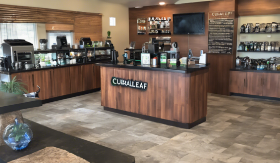 Exploring Curaleaf Peoria: Your Ultimate Guide